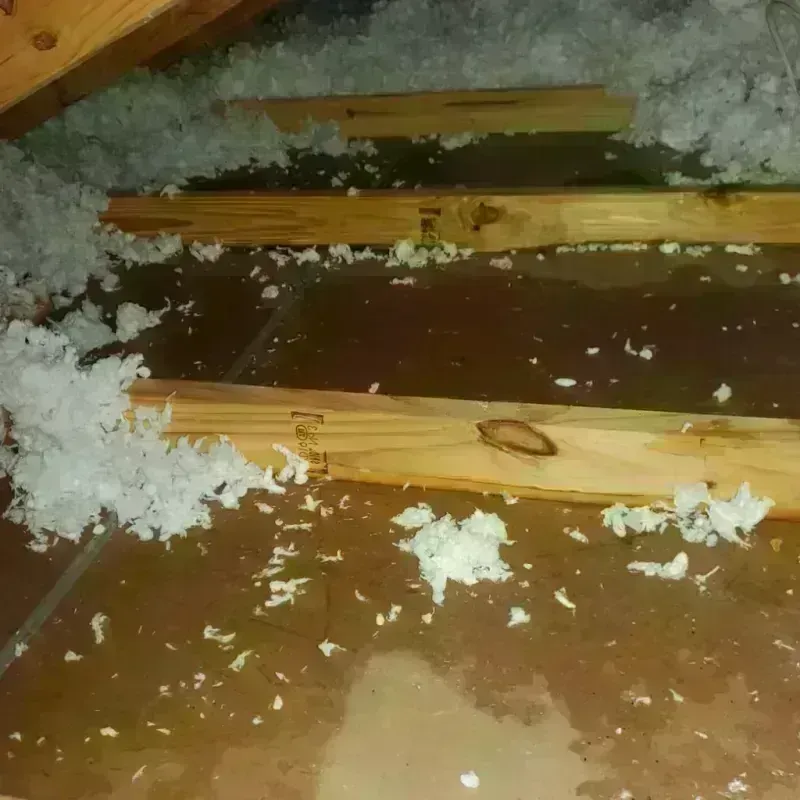 Attic Water Damage in Vega, TX