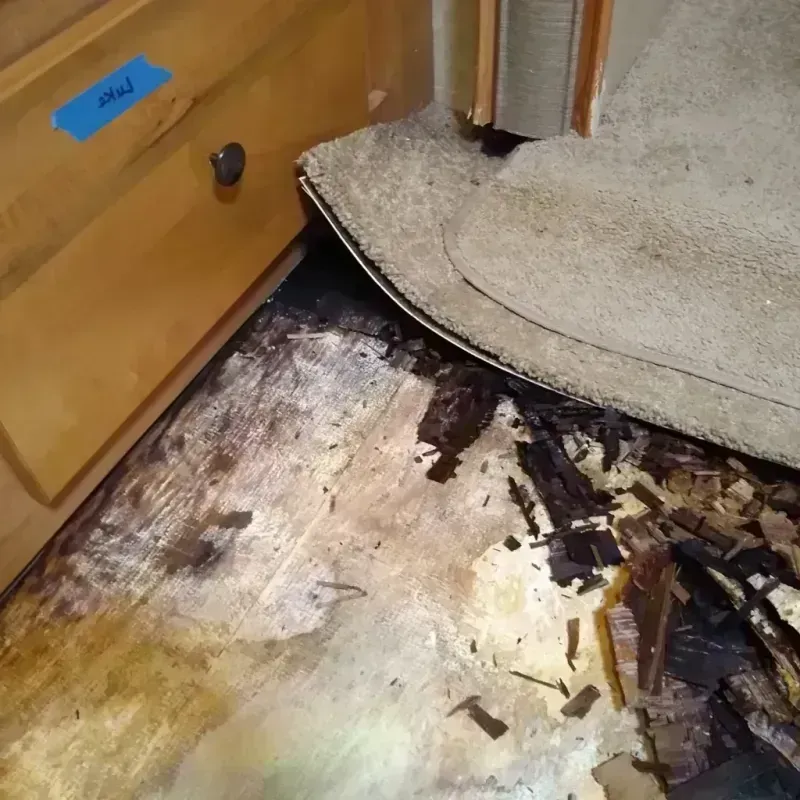 Wood Floor Water Damage in Vega, TX